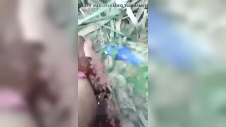 صديقة من قرية ديسية تمارس الجنس في الحقل