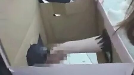 ديك في صندوق 02