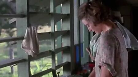 الزوجة الصالحة (1987)