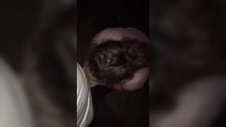 Dirtygirl614 تمارس الجنس الفموي وتضاجع غريبًا بدون واقي