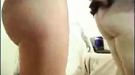 هدية من ابنة أختها المثيرة