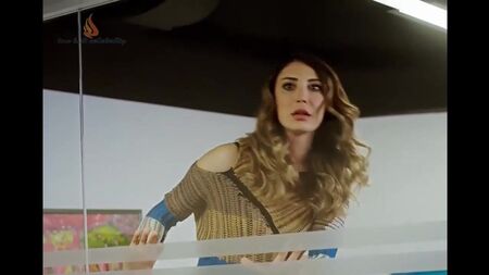 ميرفي أوفلز - الآن الحب 2016