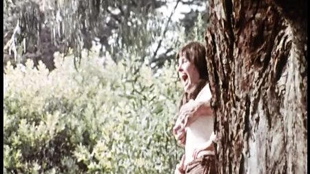 جنوب الحدود (1976، الولايات المتحدة، الفيلم الكامل، نسخة من قرص DVD)