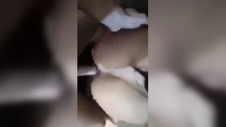 دادا مصففة شعر في سريبرينيتس