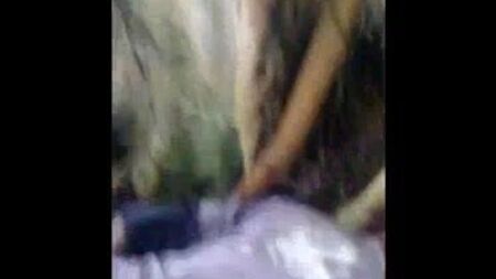وانتوك ووكيم