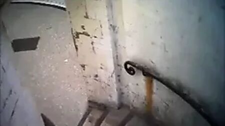 الإقامة في الأكواخ