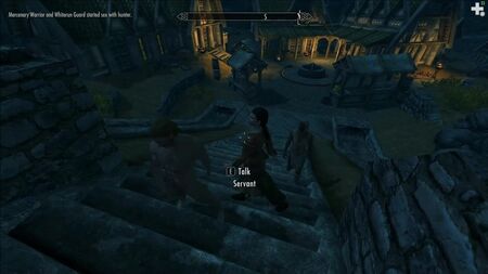 تعديل "الجنس العشوائي" في لعبة Skyrim