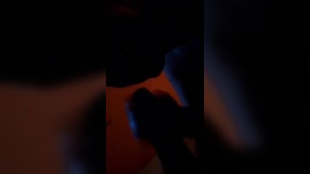 مرافقة من بروكسل