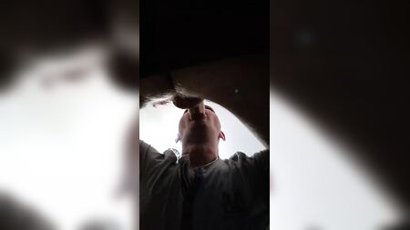 مص قضيب الحصان