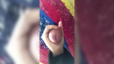 الحلب تحت الأرجوحة الشبكية