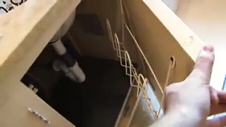 ديون دانيلز عارية