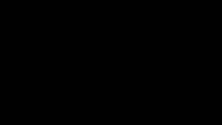 عيد ميلاد سعيد تيرافيت