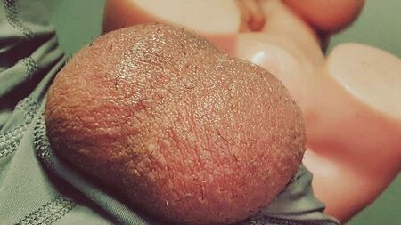 تبدو خجولة في البداية، ثم تمارس الجنس كأنها نمرة