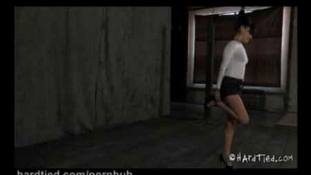 الترفيه مع عناصر BDSM
