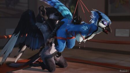 3D Yiff من ruaidri - إباحية فروية - جنس - E621 - إناث - طيور - تقييد - BDSM