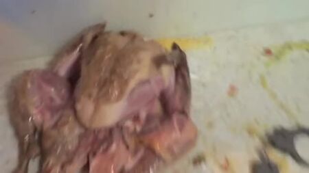 [HowToBasic] كيفية حشو الديك الرومي