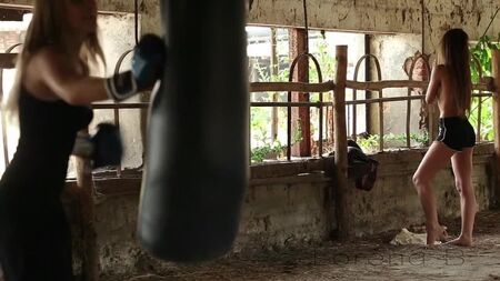 فن الجنس لأفلام السحاقيات