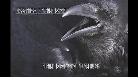 Skogarmaor - Black Raven (فيديو كلمات الأغنية)