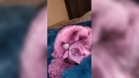 قذف على فرو الشينشيلة مرتين متتاليتين